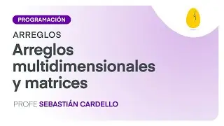 Arreglos multidimensionales y matrices  | Programación | Arreglos | V2 | Egg Educación