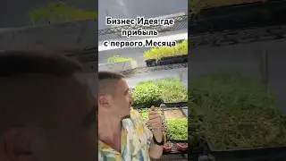 Бизнес -  прибыль с первого месяца