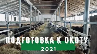 Подготовка к окоту 2021