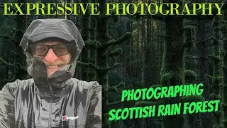 Landscape Photography - How to make expressive photographs in a Scottish rain forest?