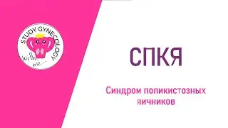 ГИНЕКОЛОГИЯ СПКЯ | Синдром поликистозных яичников - К ЭКЗАМЕНУ