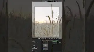Photoreal Wheat Field Sunset in 
