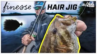 Finesse Hair Jig Smallmouth Bass | Best Rod Setup