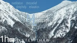 Meditative Landscapes: WinterThaw | Meditation, Stress-Relief, Relaxation Nature at Home, Birdsongs.