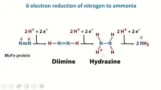 Nitrogen Topic 4 - Nitrogenase mechanism