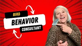 What To Expect From A Bird Behavior Consultation