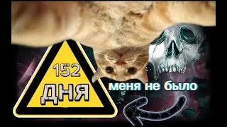 НЕ СМОТРИ ЭТО ВИДЕО!!!!!! *меня не было 152 дня* . Смотрю shorts, хуже тик тока??!, честно я хз