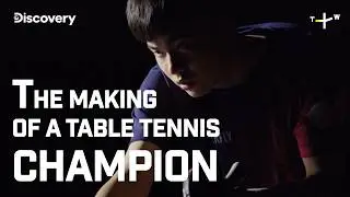 Table Tennis Athletes 🏓 | Taiwan Spirit | Discovery Channel x TaiwanPlus