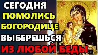 УСПЕЙ ПРОЧЕСТЬ БОГОРОДИЦЕ! ВЫБЕРЕШЬСЯ ИЗ ЛЮБОЙ БЕДЫ! Молитва Богородице. Православие