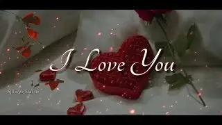 Happy Valentine Day Whatsapp Status / Valentine's Day Special Whatsapp Status