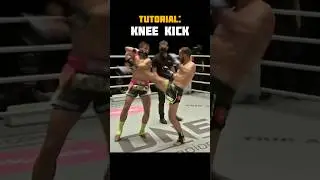 Muay Thai Knee kick🥊 