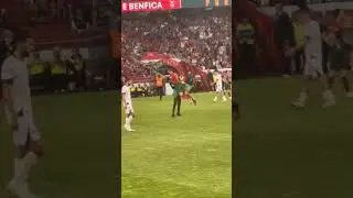 Ronaldo lifted by Pitch Invader