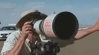 Canon EOS - Speedlite 600EX RT Creative Lighting with Bruce Dorn - Introduction 1 of 5