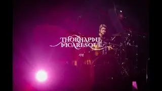 쏜애플(THORNAPPLE) - 기린 (Kirin)  '피카레스크' Live ver.