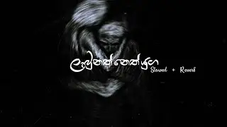 Labunath Neth Yuga - Slowed + Reverb + Lyrics ( ලැබුනත් නෙත් යුග ) | ‎‎@SachinBeatsOfficial