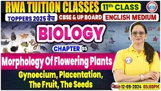 Class 11 Biology Chapter 5 | Morphology Of Flowering Plants By Vandana Mam