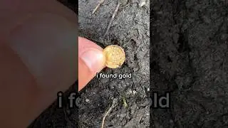 Can You Find Gold in Dirt?