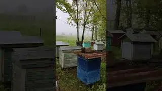 Погода на Смоленщине 8 мая,как у Вас?