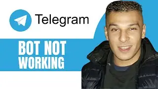 How To Fix Telegram Bot Not Working 2024