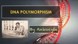 DNA Polymorphisms and its classifications