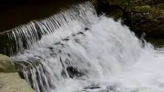 Rainbow Trout Naples NY 2024-03-14