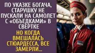 По указке богача, старушку не пускали на самолет с «объедками»… Но когда вмешалась стюардесса…