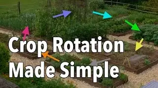 Crop Rotation Made Simple - Rotate Your Vegetable Beds for Healthier Produce