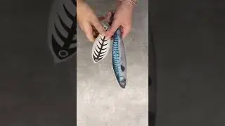 Игрушки для котов и кошек 😻😻 