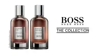 Courageous Rose Sensual Geranium Boss The Collection