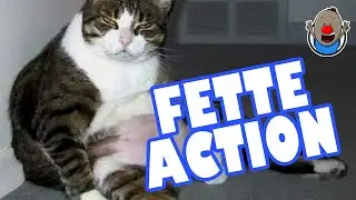 Wenn Tiere sprechen könnten 9 | Fette Action