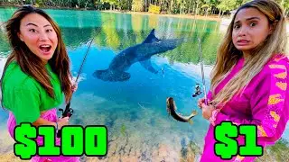 CHEAP VS EXPENSIVE FISHING ROD CHALLENGE!! #TEAMSEAS