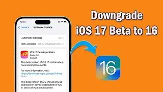 [Two Ways] How to Downgrade iOS 17 Beta  to iOS 16.6