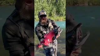 “Fire Engine Red” Salmon in Alaska #alaska #fishing #salmon #kenairiver #russianriver