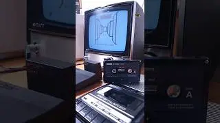 Playing Supermaze on Sinclair ZX81, 1981 #shorts #retrogaming #vintagecomputer