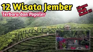 12 Tempat WISATA JEMBER Terbaru 2024, Rekomendasi Liburan Keluarga Tercinta, Wisata Jember Viral