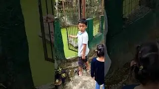 Risa lihat buaya