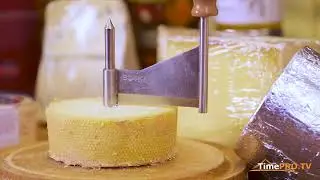 ШВЕЙЦАРСКИЙ СЫР - ВИЗИТНАЯ КАРТОЧКА СТРАНЫ. ПЛАНЕТА ВКУСОВ И ЗАПАХОВ