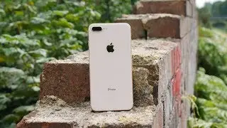 iPhone 8 Plus Camera Review