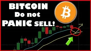 DO NOT PANIC SELL YOUR BITCOIN AND ALTCOINS! (Now is Where the Money is Made)