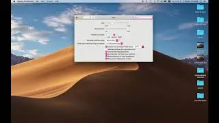 HOW TO ENABLE OR DISABLE AUTOMATICALLY HIDE AND SHOW THE DOCK IN MAC OS MOJAVE