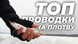 ТОП-5 проводок на плотву