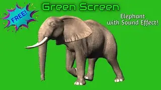 Free Green Screen Animation Chroma key Elephant with Sound Effect