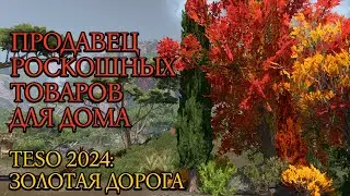 Продавец Роскошных Товаров для Дома | Западный Вельд | Золотая Дорога | Новая Глава 2024