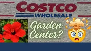 Costco's New Garden Center: How Do Their Plant Prices Stack Up Against Lowe's?