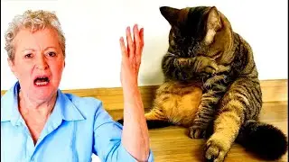 - Нет у меня денег лечить её! Старая она стала, болеет! Вот и выгнала! – рявкнула соседка