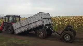 МТЗ-82 РАЗОРВАЛ ПРИЦЕП