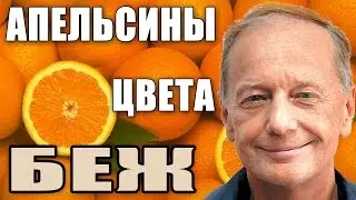 Михаил Задорнов. Концерт Апельсины цвета беж