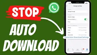 How To Stop Auto Download In WhatsApp In iPhone