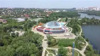 ласточка в шоке!