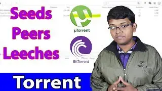 How Torrents Works? Seeds, Peers, Leeches Explained | Peer to Peer Network Explained In Hindi